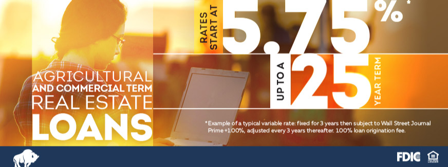 Agricultural  and commercial term real estate loans. Rates start at 4.75% up to 25 year term.